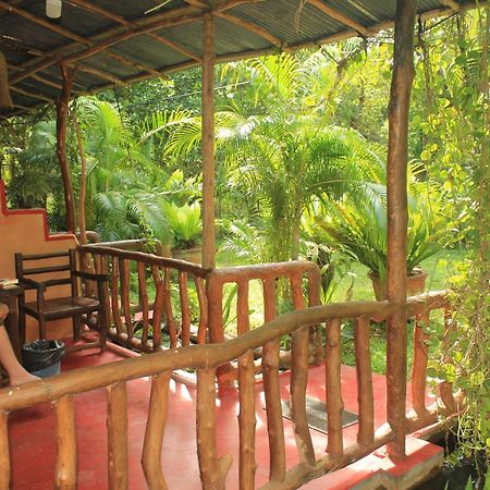Sigiriya Nature View Home Stay Zewnętrze zdjęcie