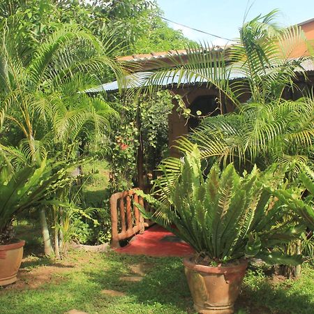 Sigiriya Nature View Home Stay Zewnętrze zdjęcie