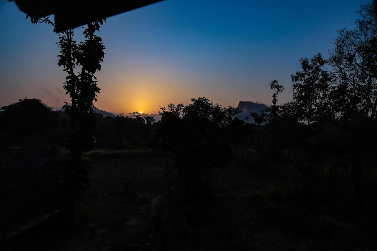 Sigiriya Nature View Home Stay Zewnętrze zdjęcie