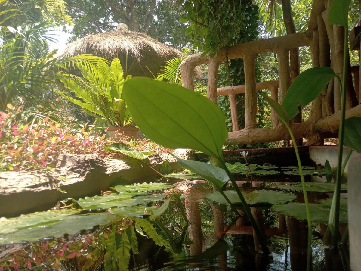 Sigiriya Nature View Home Stay Zewnętrze zdjęcie