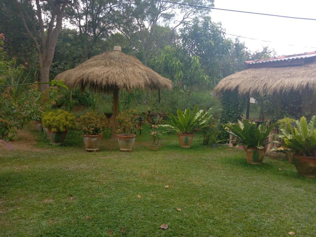 Sigiriya Nature View Home Stay Zewnętrze zdjęcie