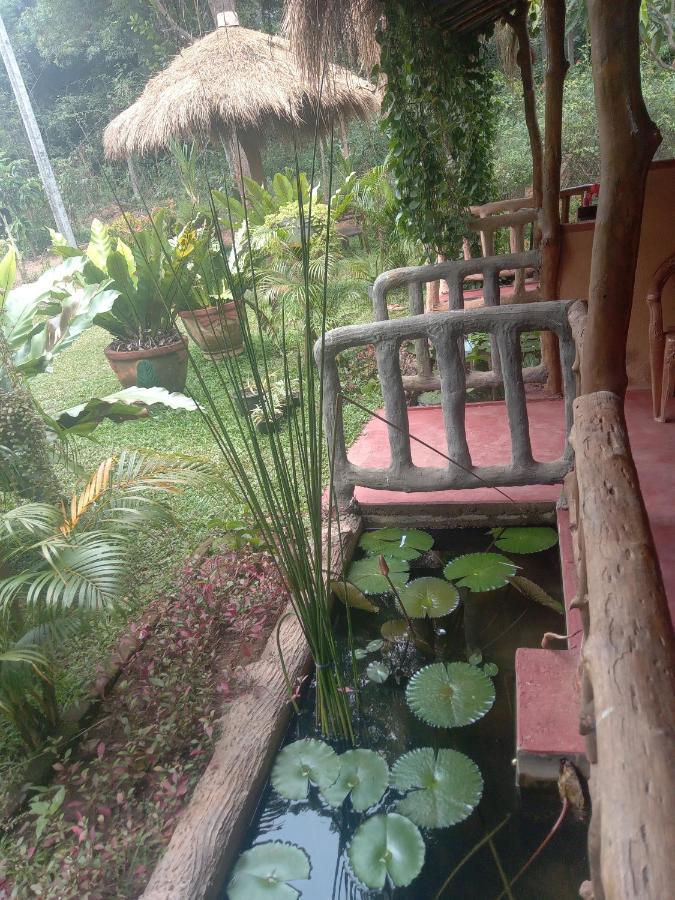 Sigiriya Nature View Home Stay Zewnętrze zdjęcie