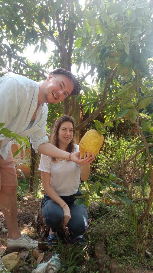 Sigiriya Nature View Home Stay Zewnętrze zdjęcie