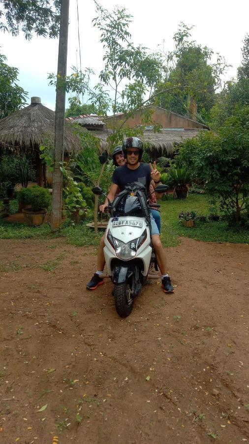 Sigiriya Nature View Home Stay Zewnętrze zdjęcie