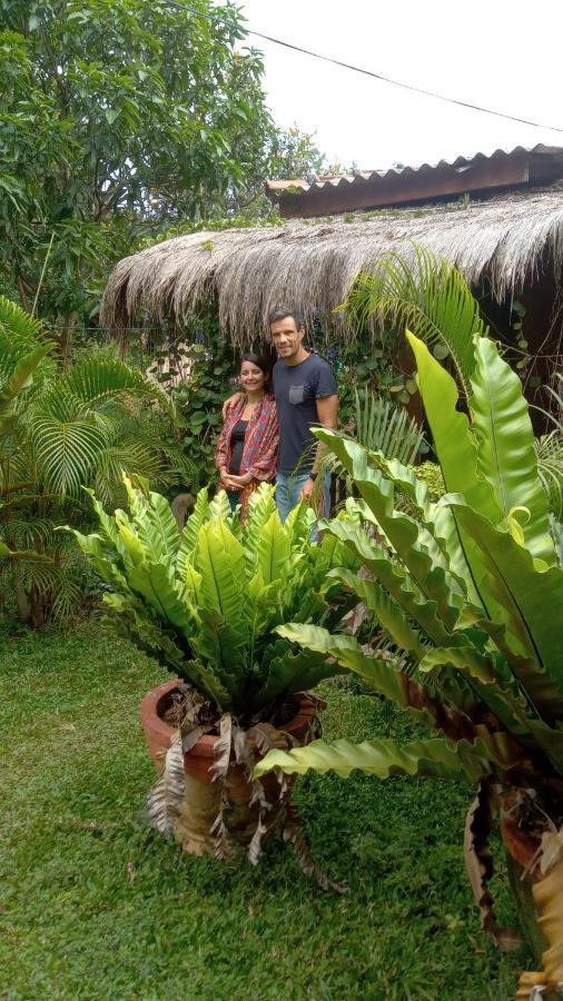 Sigiriya Nature View Home Stay Zewnętrze zdjęcie