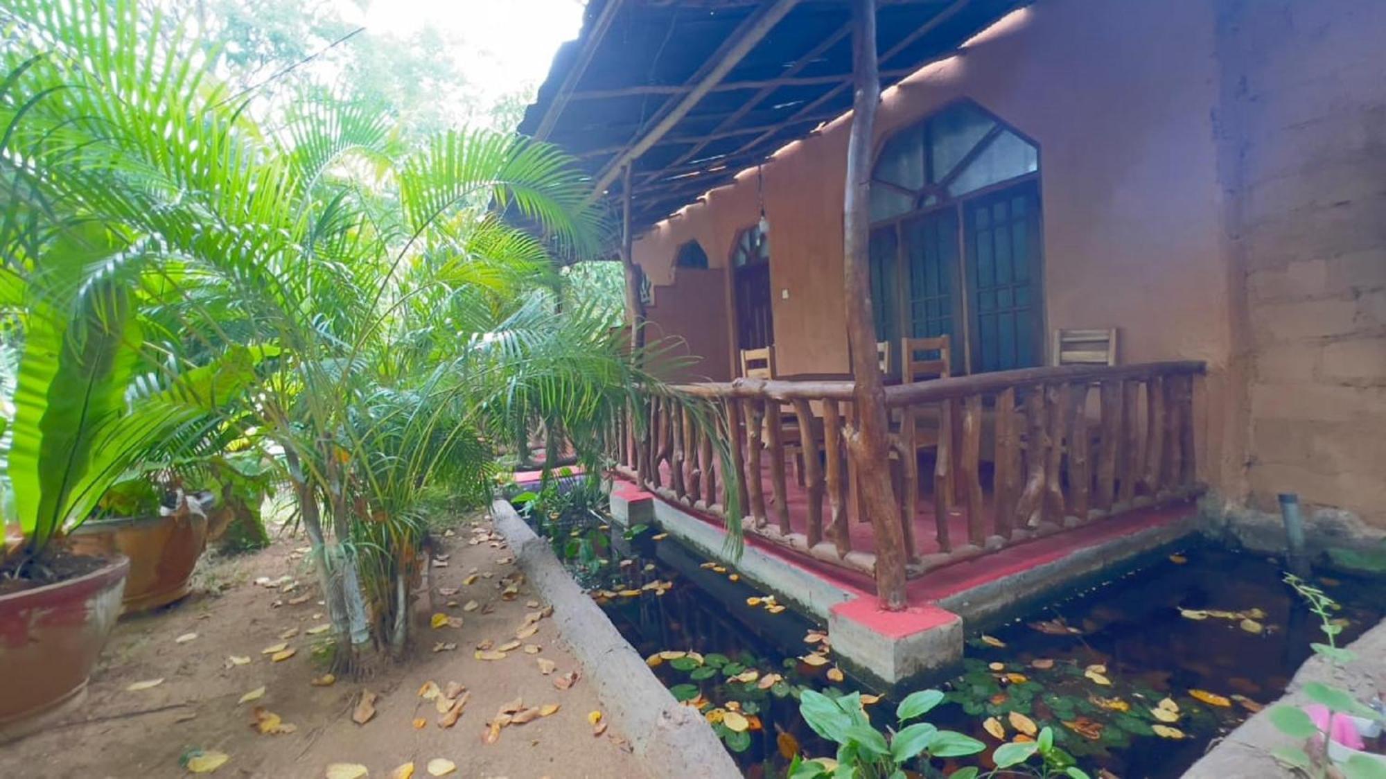 Sigiriya Nature View Home Stay Zewnętrze zdjęcie