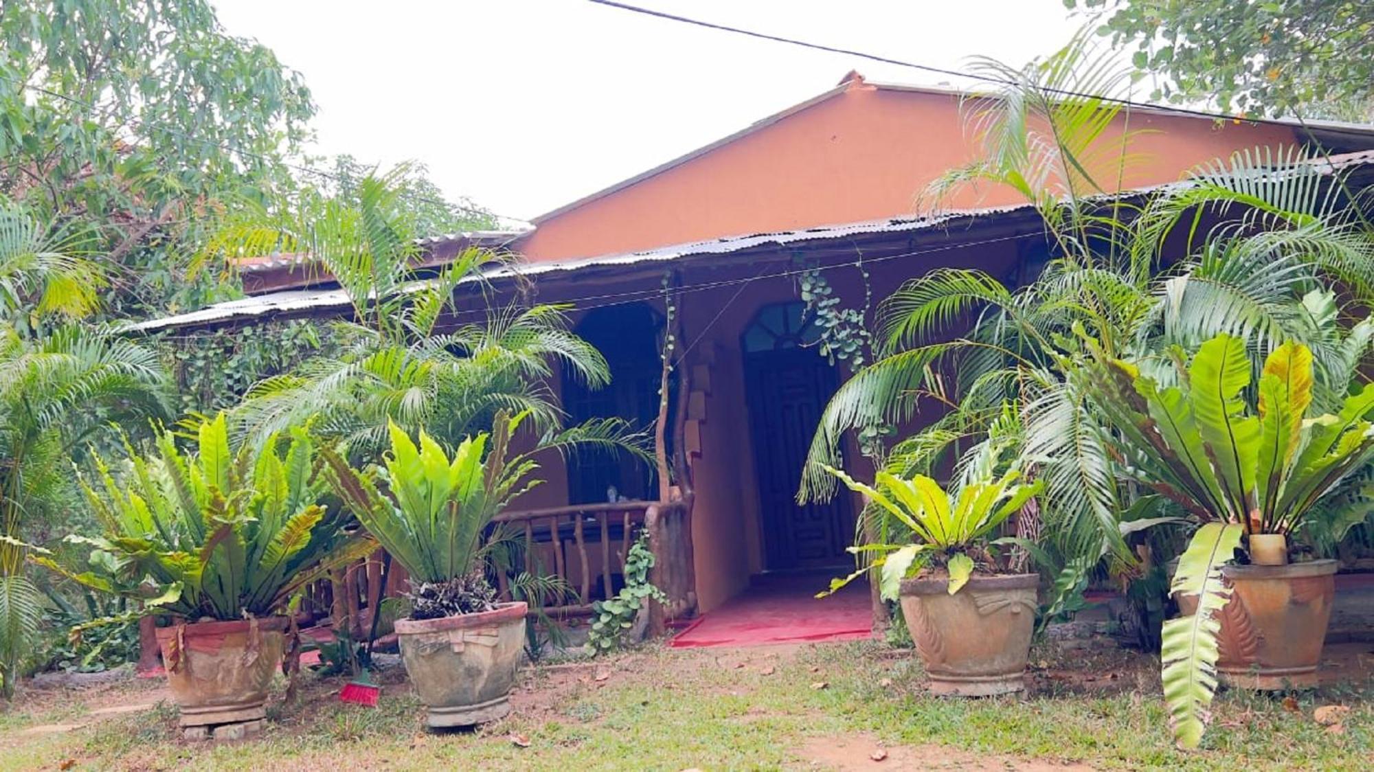 Sigiriya Nature View Home Stay Zewnętrze zdjęcie