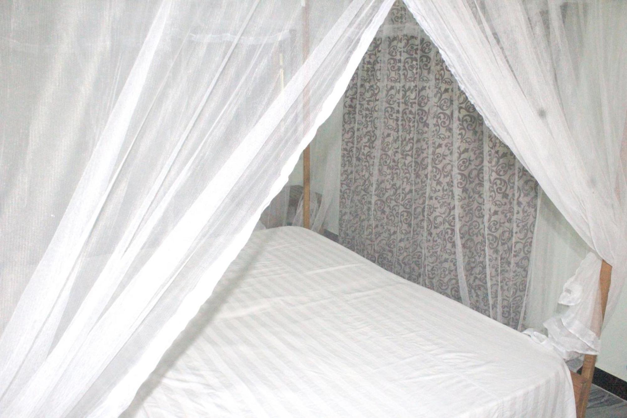 Sigiriya Nature View Home Stay Zewnętrze zdjęcie