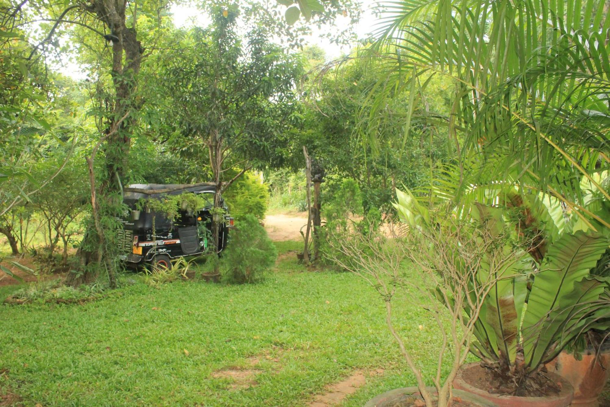Sigiriya Nature View Home Stay Zewnętrze zdjęcie