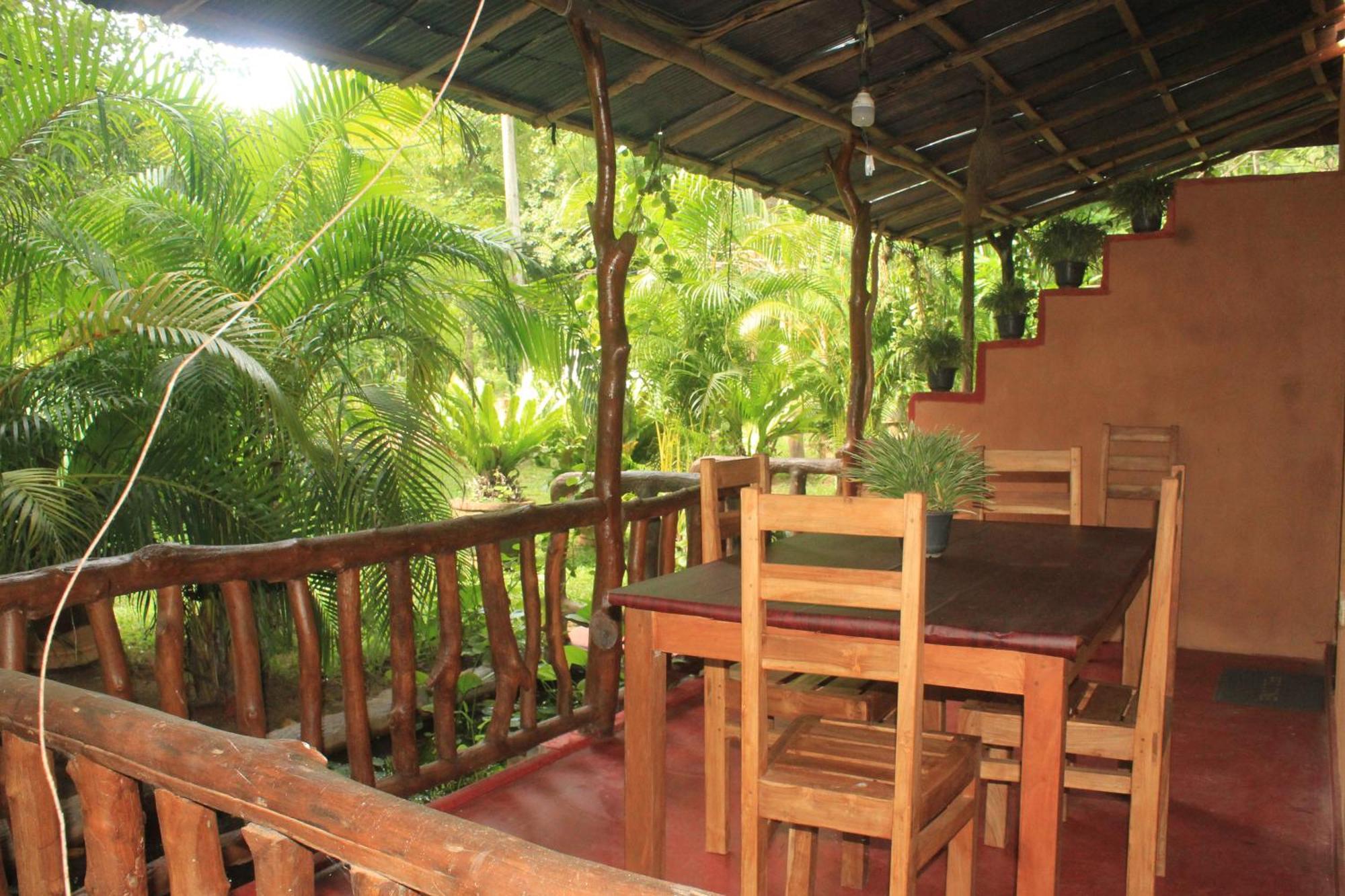 Sigiriya Nature View Home Stay Zewnętrze zdjęcie